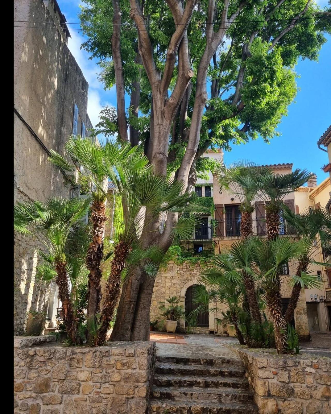 06An - Beautiful Apartment In The Heart Of Old Antibes Extérieur photo
