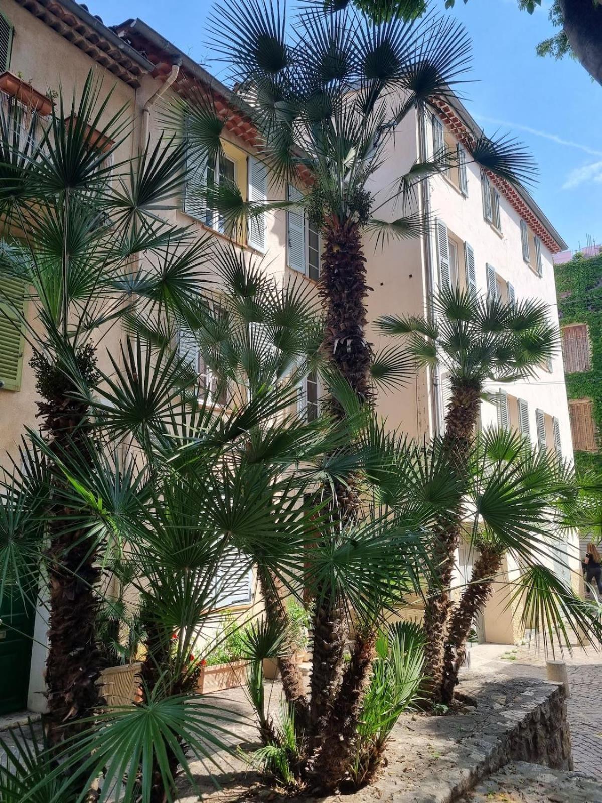 06An - Beautiful Apartment In The Heart Of Old Antibes Extérieur photo
